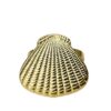 gold-sea-shell-6pcs